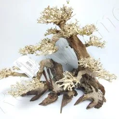 AQUAVIE BONSAI NATUR XL++