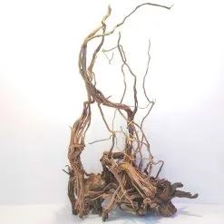 AQUAVIE Curviligne XL