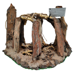 Aquavie FOREST NATURE 2R XBIG -EHEIM Verkoopwinkel forest nature 2r xbig 2