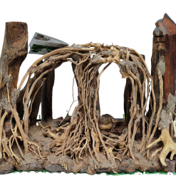 Aquavie FOREST NATURE 2R XBIG