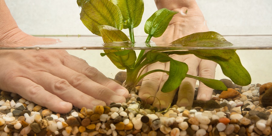 EHEIM Verkoopwinkel -EHEIM Verkoopwinkel fotolia 134238207