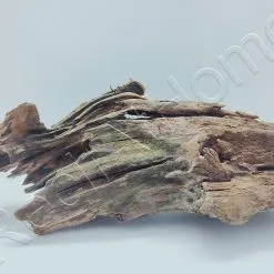 Aquavie RACINE MALAISIE GM 35-55CM NOP