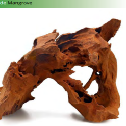 Aquavie RACINE MANGROVE GM 40-60CM