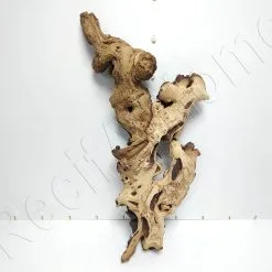 Aquavie RACINE MOPANI GM 45-65CM