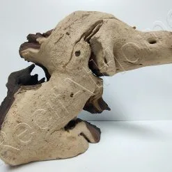 Aquavie RACINE MOPANI MM 20-40CM