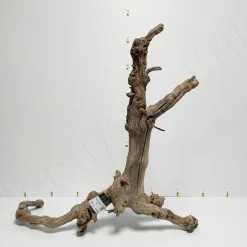 Aquavie RACINE MOPAVIGNE L 50-80CM