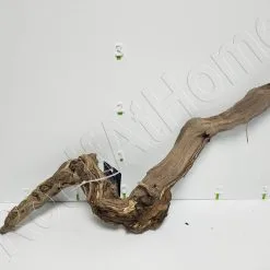 Aquavie RACINE MOPAVIGNE M 30-55CM