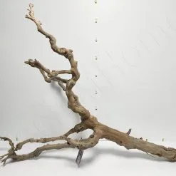 Aquavie RACINE MOPAVIGNE XL 60-100CM -EHEIM Verkoopwinkel racine mopavigne xl 60 100cm 2