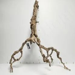 Aquavie RACINE MOPAVIGNE XL 60-100CM