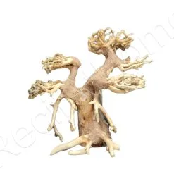 WYSIWYG BONSAI 13*13CM BON3