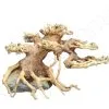 WYSIWYG BONSAI 19*13CM BON5 -EHEIM Verkoopwinkel wysiwyg bonsai 1913cm bon5