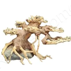 WYSIWYG BONSAI 19*13CM BON5