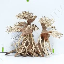 WYSIWYG BONSAI CM BON1