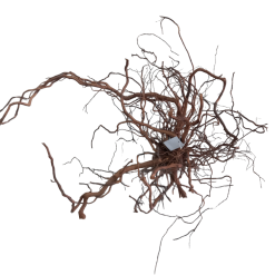 WYSIWYG Curviligne 100cm X 100cm VIG5