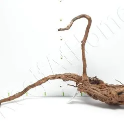 WYSIWYG Curviligne CM CUR3