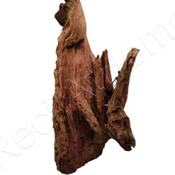 WYSIWYG Mangrove GM 52*25CM CUR1 -EHEIM Verkoopwinkel wysiwyg mangrove gm 5225cm cur1 1