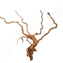 WYSIWYG Mangrove S 60*64 CM CUR2