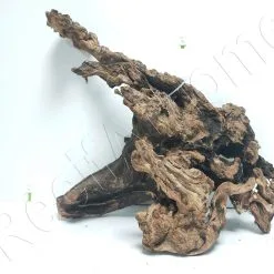 WYSIWYG MOPANI CM MOP2