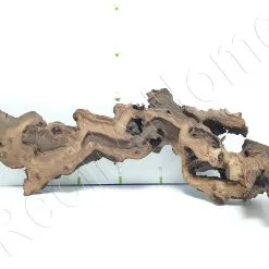 WYSIWYG MOPANI CM MOP4