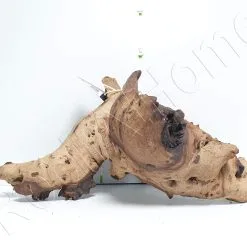 WYSIWYG MOPANI CM MOP5 -EHEIM Verkoopwinkel wysiwyg mopani cm mop5 1