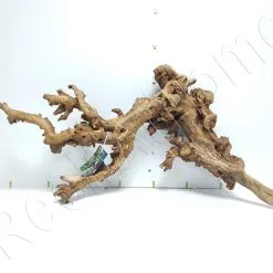 WYSIWYG MOPANI CM MOP6