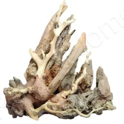 WYSIWYG RACINE Type Bonsai 21*24CM MOP1 -EHEIM Verkoopwinkel wysiwyg racine type bonsai 2124cm mop1 1