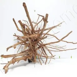 WYSIWYG VIGNE CM VIG3