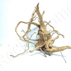 WYSIWYG VIGNE CM VIG7 + DE 2KG