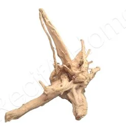 WYSIWYG Vigne Rare ML 26*18CM CUR7 -EHEIM Verkoopwinkel wysiwyg vigne rare ml 2618cm cur7 1