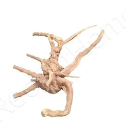 WYSIWYG Vigne Rare ML 32*26CM MAL6